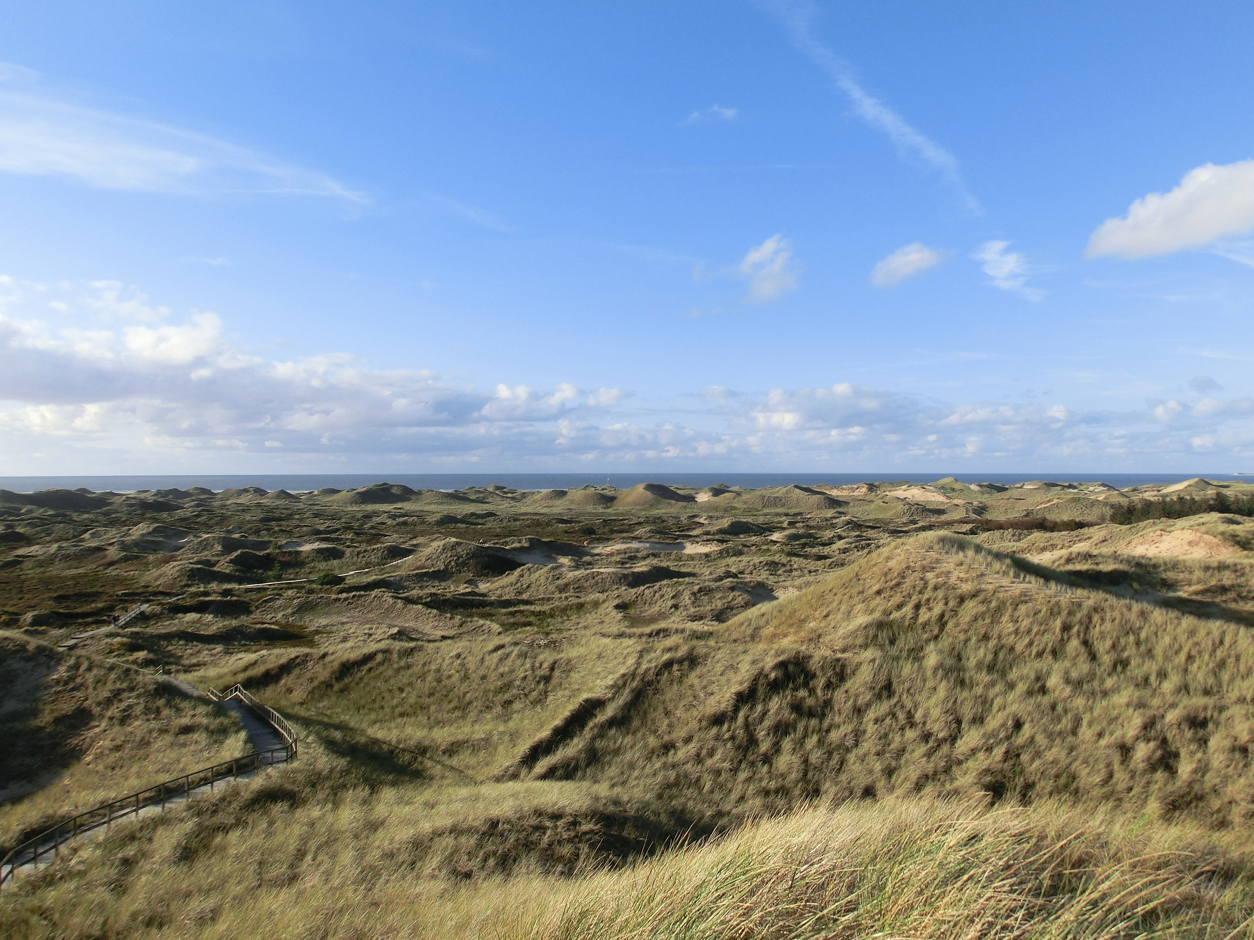 Dünenlandschaft